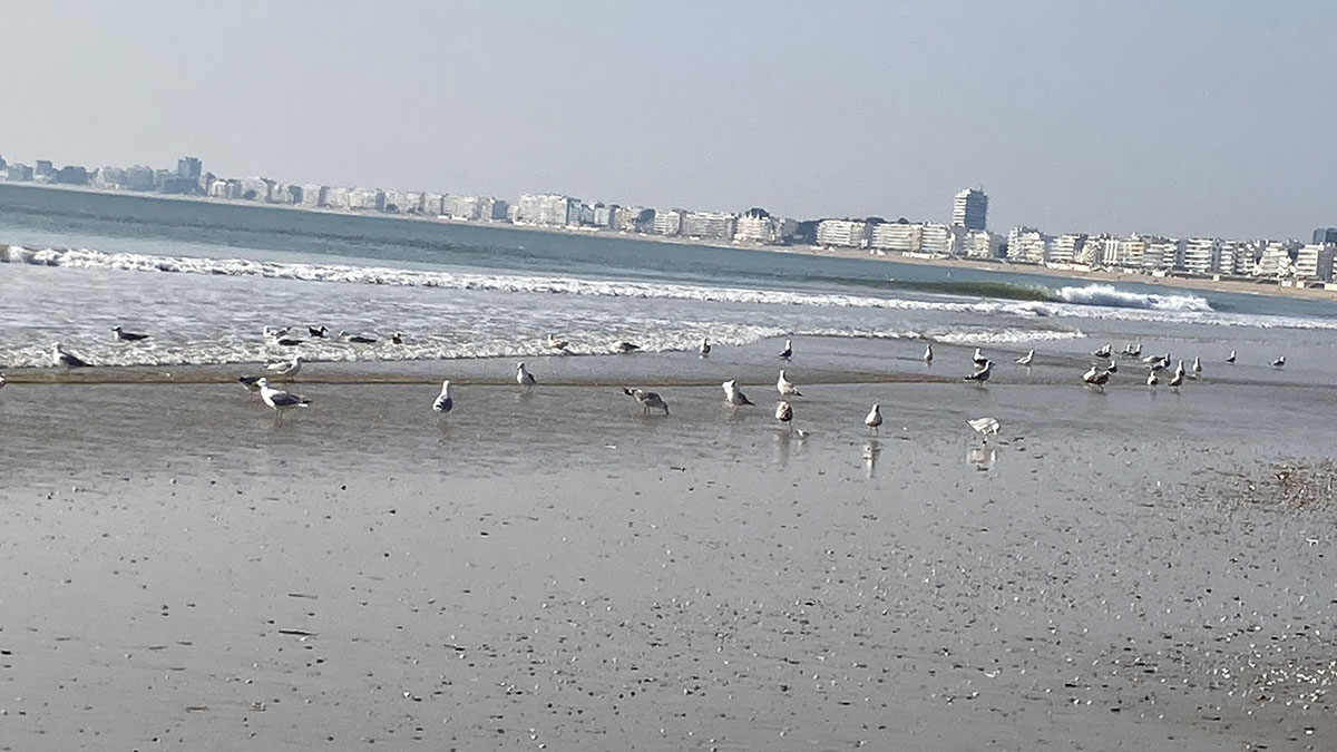 paysage-La-Baule